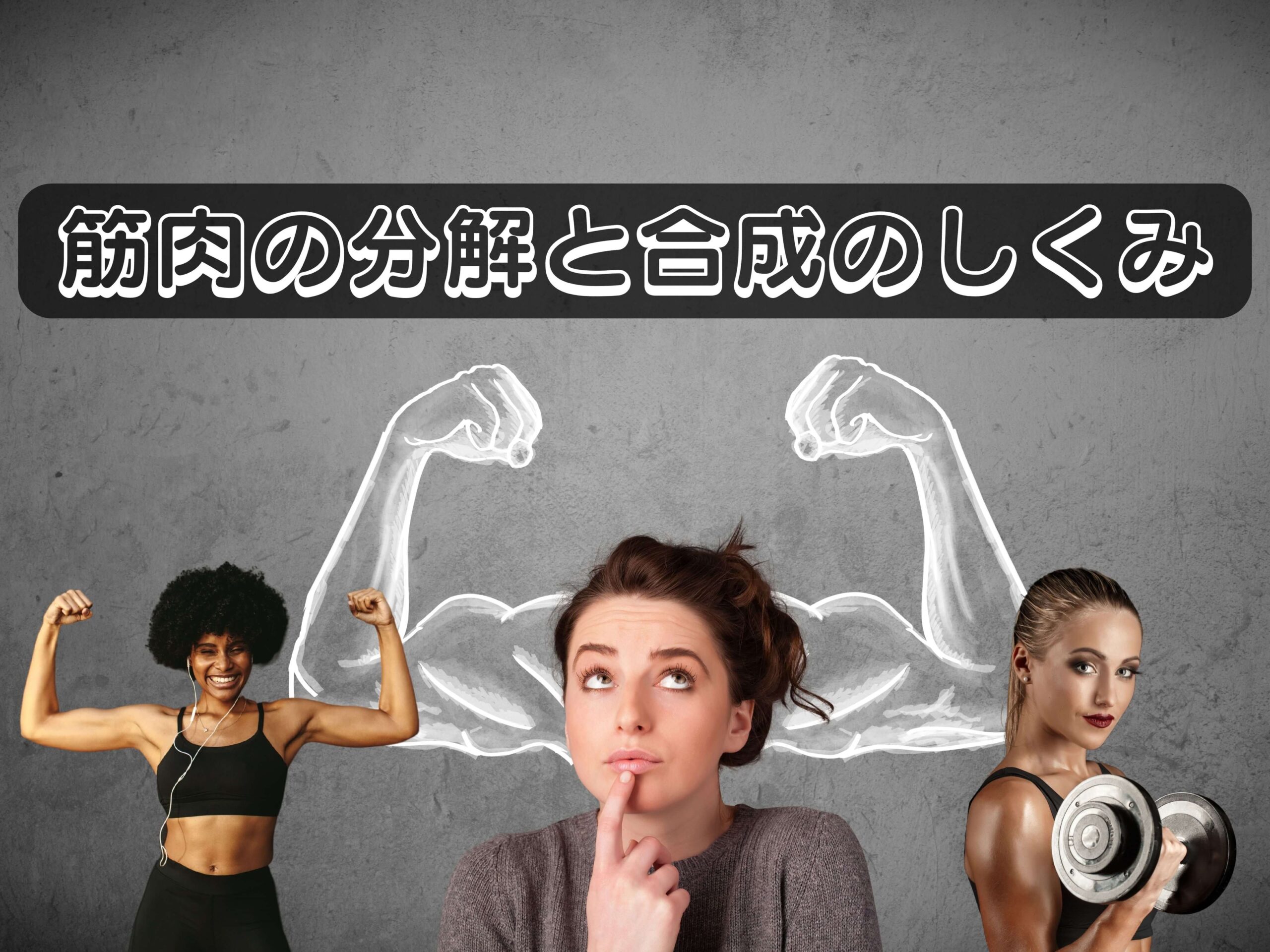 筋肉の分解と合成のしくみについて!