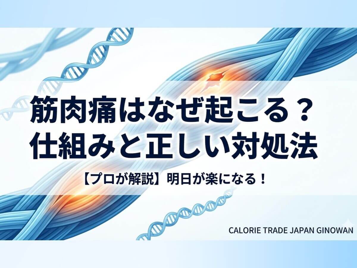 筋肉痛はなぜ起こるのかを解説したイメージ画像｜宜野湾市パーソナルジム