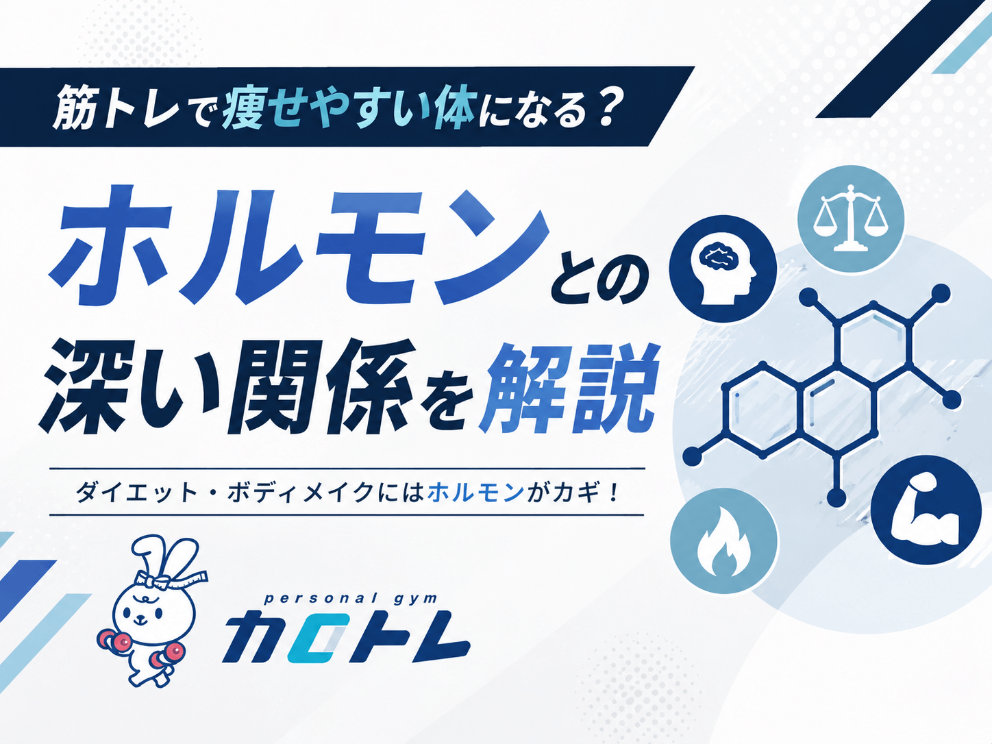 筋トレで痩せやすい体になる？ホルモンとの深い関係を解説｜宜野湾市のパーソナルジム
