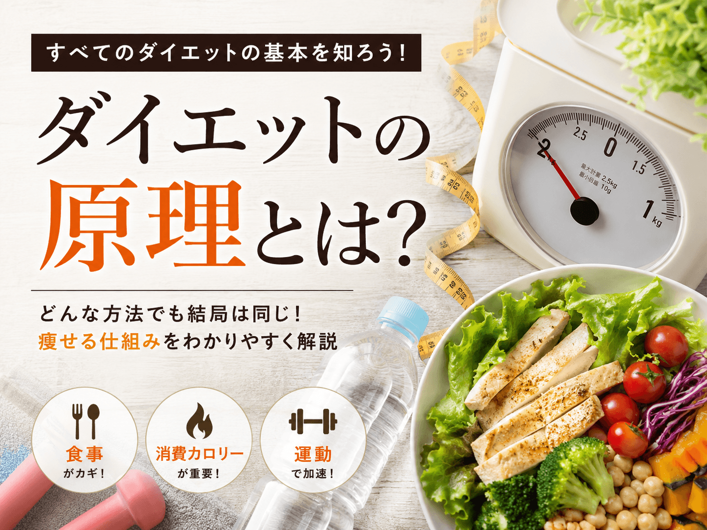 ダイエットの原理とは？どんなダイエットでも「痩せる仕組み」は同じです！